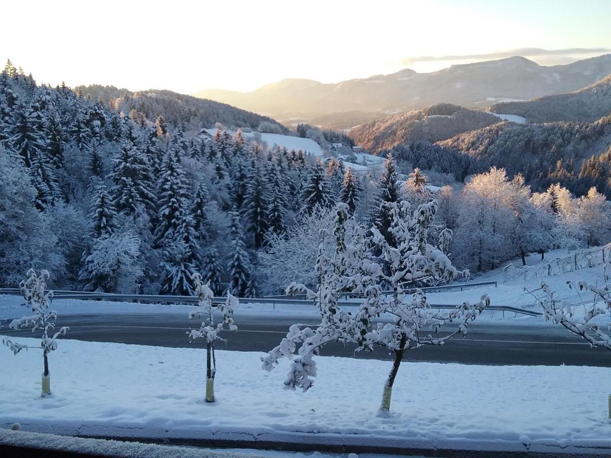 Apartment Jorsi With Mountain View Zreče المظهر الخارجي الصورة