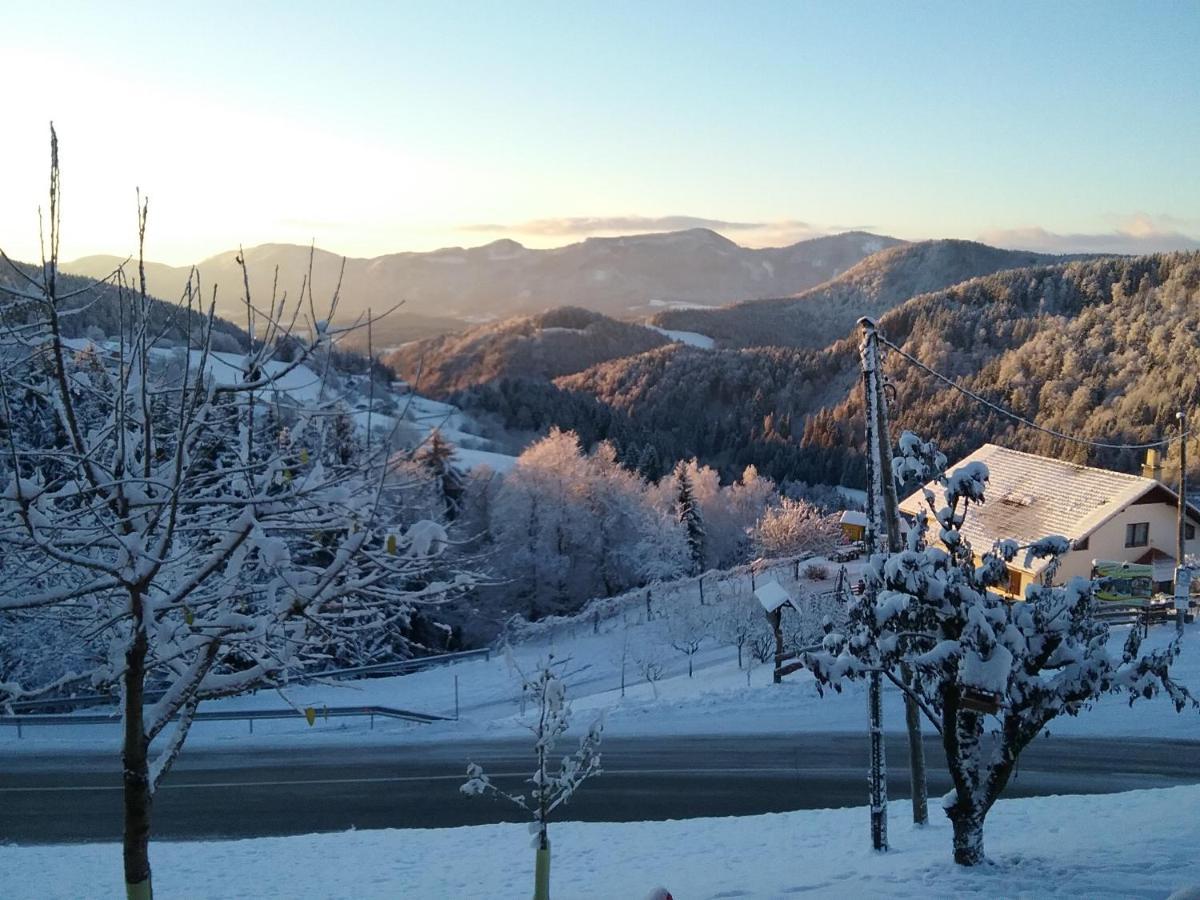 Apartment Jorsi With Mountain View Zreče المظهر الخارجي الصورة